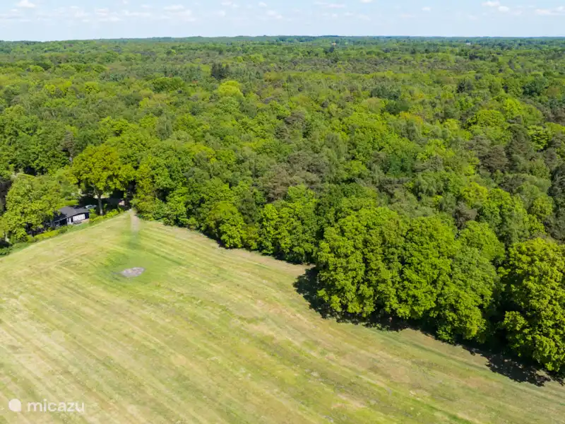 Bosbungalow Serafina Ootmarsum huren in Nederland, Overijssel, Nutter - Bungalow Bosbungalow Serafina Ootmarsum huren in Nederland, Overijssel, Nutter - Bungalow