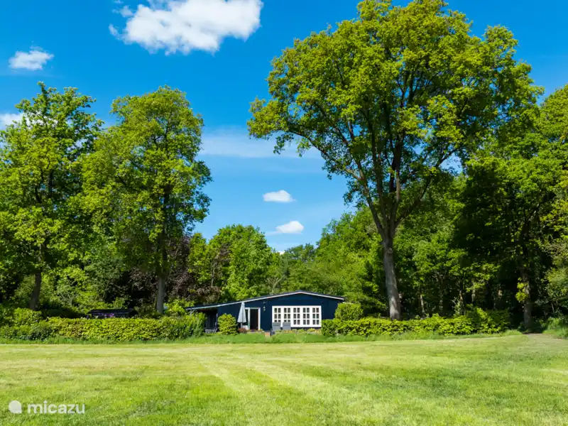 Bosbungalow Serafina Ootmarsum huren in Nederland, Overijssel, Nutter - Bungalow Bosbungalow Serafina Ootmarsum huren in Nederland, Overijssel, Nutter - Bungalow