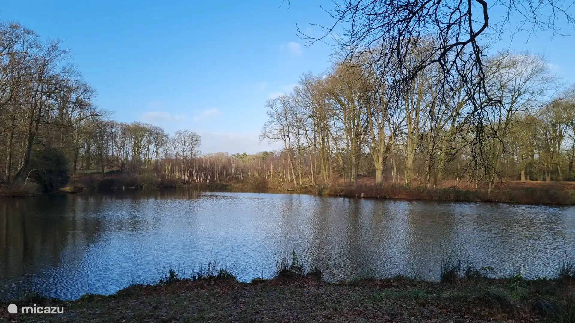 De Bronnen waar je een mooi rondje naar toe kunt wandelen door het bos.