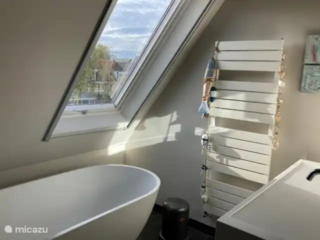 Casa de transporte en el agua en Países Bajos, Holanda Meridional, Voorburg - villa Baño 1er piso