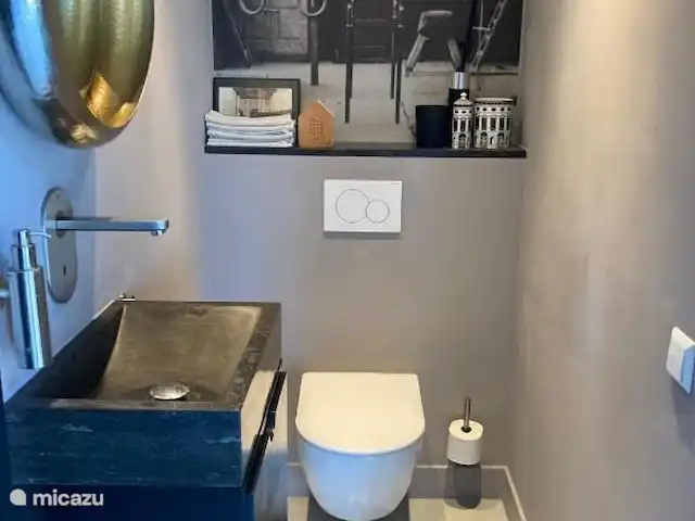 Casa de transporte en el agua en Países Bajos, Holanda Meridional, Voorburg - villa Aseo en la planta baja.