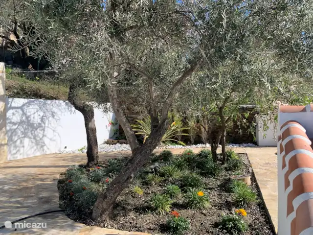 Zsa Zsa Zsu | Espagne, Costa del Sol, Sayalonga - maison de vacances
