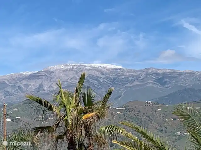 Zsa Zsa Zsu | Espagne, Costa del Sol, Sayalonga - maison de vacances Le Maroma
