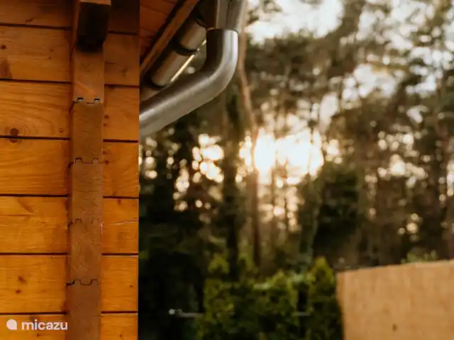 blokhut / lodge huren in Nederland, Limburg, Meijel – Wellness Boshuisje met Sauna/Hottub