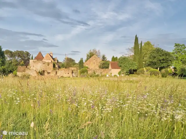 Le Paradis de Saint Geniès huren in Frankrijk, Dordogne, Montignac - villa Het uitzicht