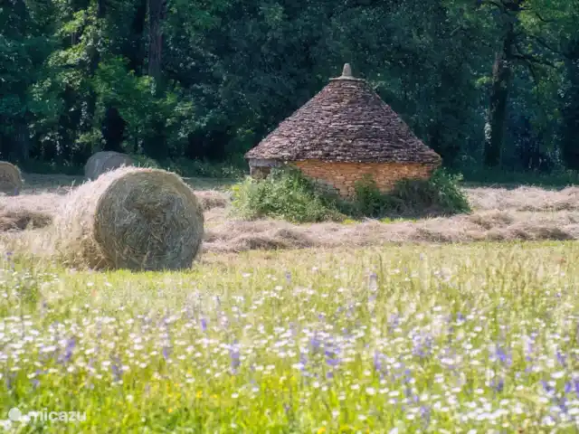 Le Paradis de Saint Geniès huren in Frankrijk, Dordogne, Montignac - villa De tuin