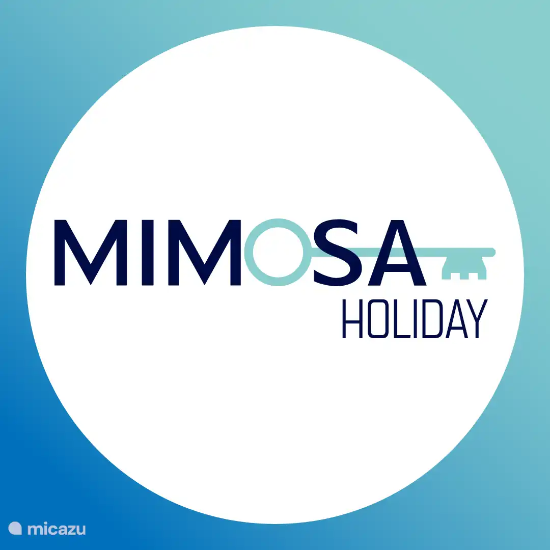 Mimosaholiday
