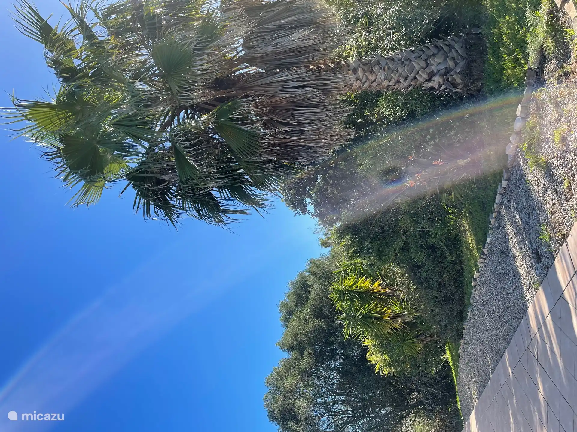 le jardin et la terrasse sur l'avant de la maison