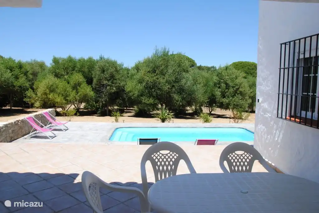 Vue de la piscine et du jardin à l'arrière de la maison