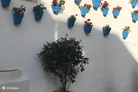 Marbella de Oude stad