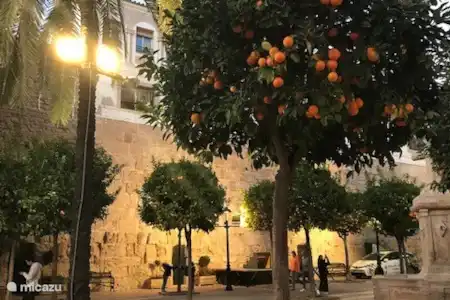 Marbella de Oude stad
