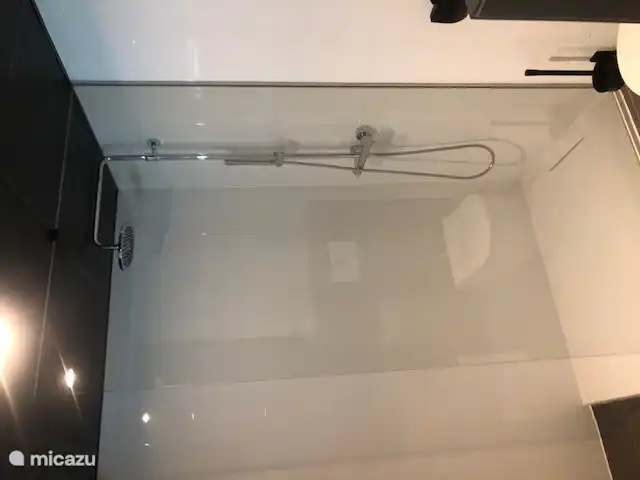 Badezimmer mit ebenerdiger Dusche und Doppelwaschbecken inklusive Toilette 