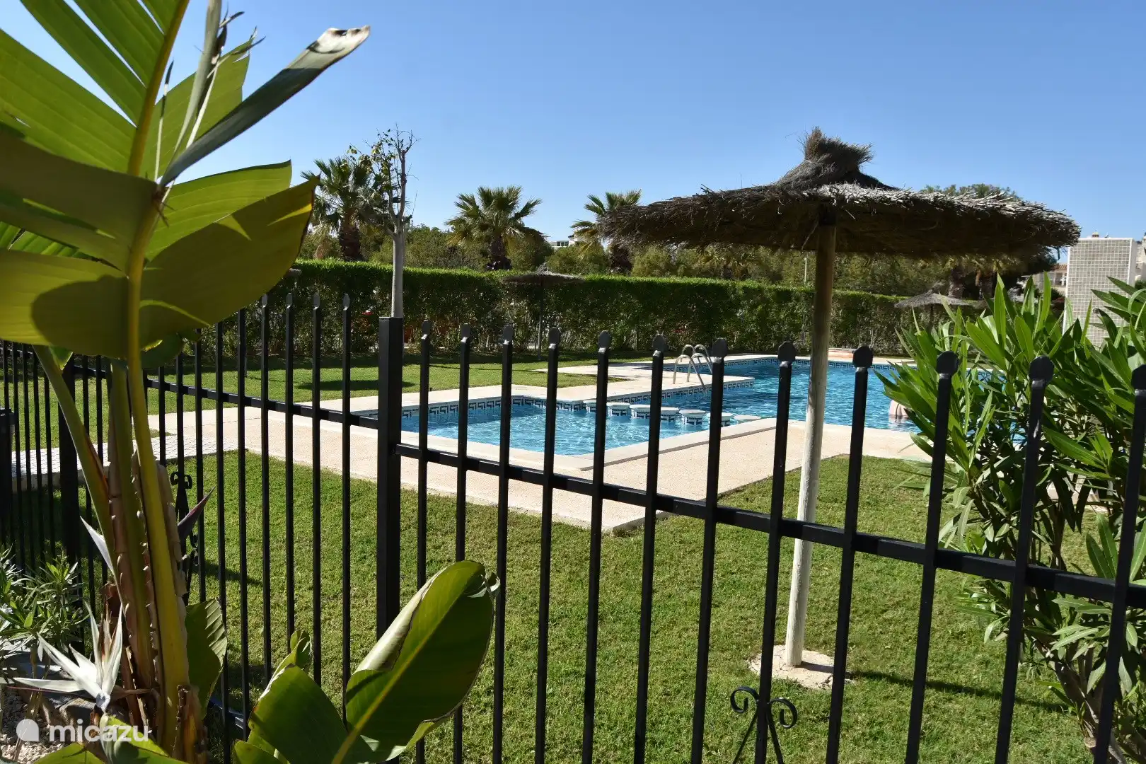 lovely swimming pool with green sunbathing lawn and children&#39;s area