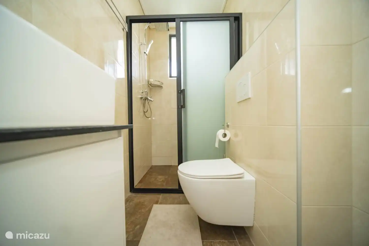 bath and toilet in the master bedroom 