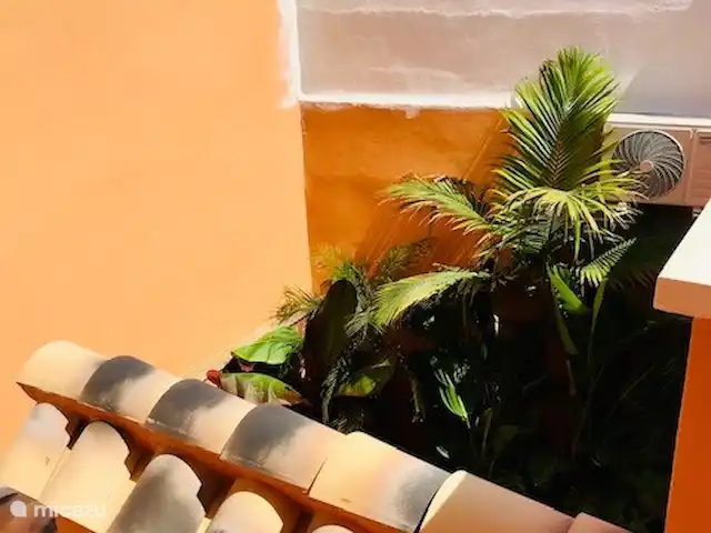 La Casa Naranja 1er étage | Espagne, Murcia, San Pedro del Pinatar - appartement