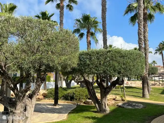 Location de Vacances Espagne, Costa Blanca, Rojales, appartement - Mi sueño jardin dans le parc