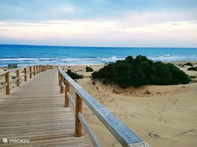 Location de Vacances Espagne, Costa Blanca, Rojales, appartement - Mi sueño Plage de Guardamar