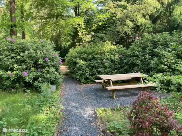 Wandelen, Nederland, Gelderland, Ermelo, chalet Boshuisje Hans & Klaartje Lente 2025