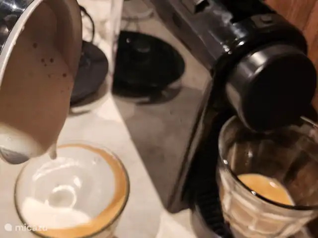 Wandelen, Nederland, Gelderland, Ermelo, chalet Boshuisje Hans & Klaartje Nespresso en melkschuimer aanwezig