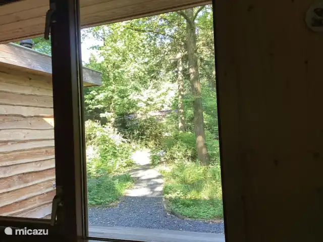 Wandelen, Nederland, Gelderland, Ermelo, chalet Boshuisje Hans & Klaartje Uitzicht woonkamer voorkant