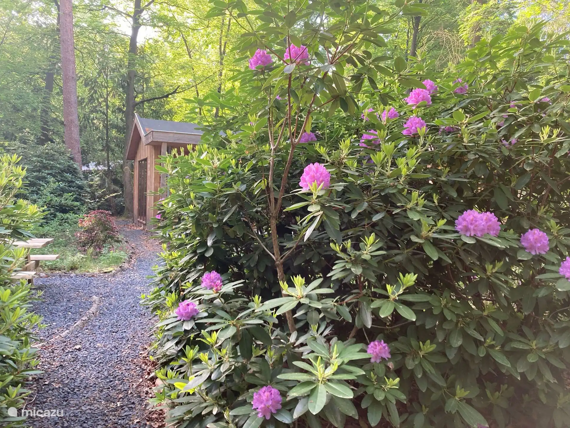 Frühlingsblüte 2025