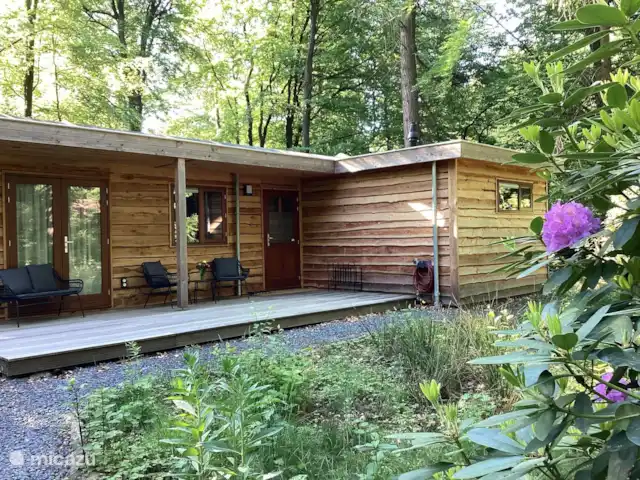 Wandelen, Nederland, Gelderland, Ermelo, chalet Boshuisje Hans & Klaartje Vooraanzicht in de lente van 2025