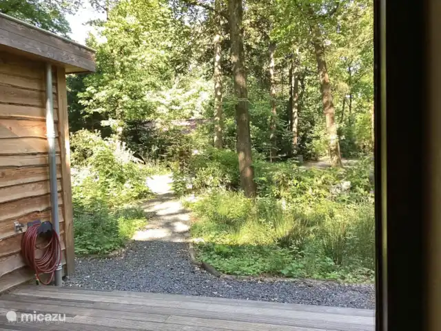 Wandelen, Nederland, Gelderland, Ermelo, chalet Boshuisje Hans & Klaartje Verscholen in het bos