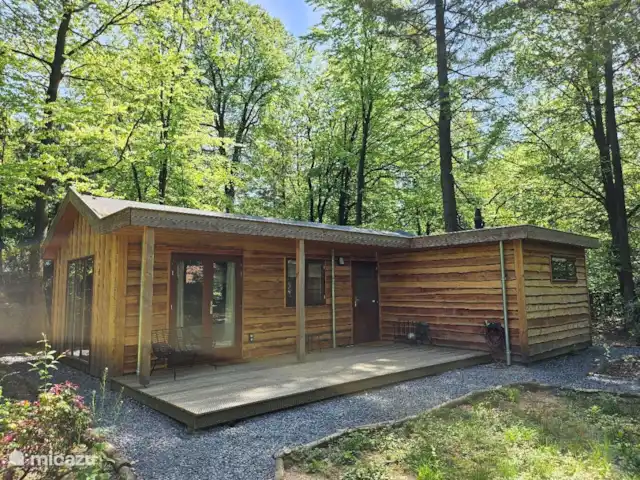 Wandelen, Nederland, Gelderland, Ermelo, chalet Boshuisje Hans & Klaartje Wandelen, Nederland, Gelderland, Ermelo, chalet Boshuisje Hans & Klaartje