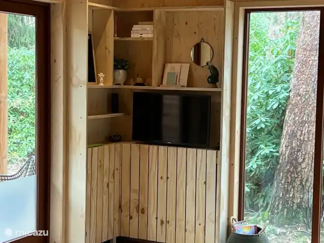 Wandelen, Nederland, Gelderland, Ermelo, chalet Boshuisje Hans & Klaartje Zelfgemaakte houten kast met spulletjes, boeken en de TV op beweegbaar muurbeugel