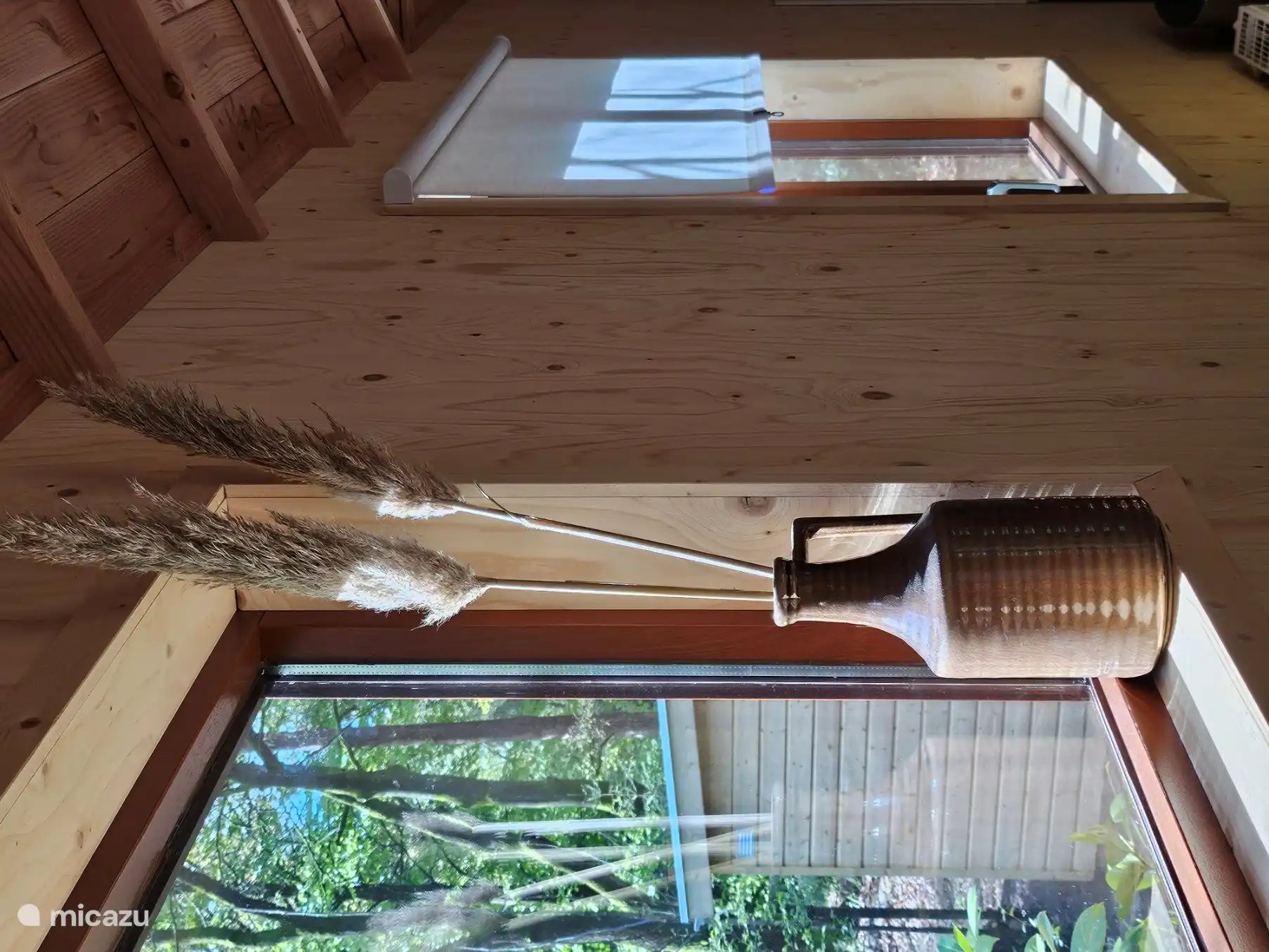 Leichter Lichteinfall von hinten