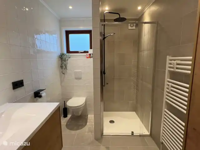 Wandelen, Nederland, Gelderland, Ermelo, chalet Boshuisje Hans & Klaartje Moderne badkamer met toilet, stortdouche en handdouche