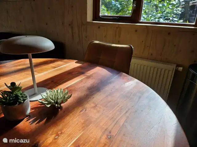 Wandelen, Nederland, Gelderland, Ermelo, chalet Boshuisje Hans & Klaartje Sfeerimpressie: lentezon op de eettafel