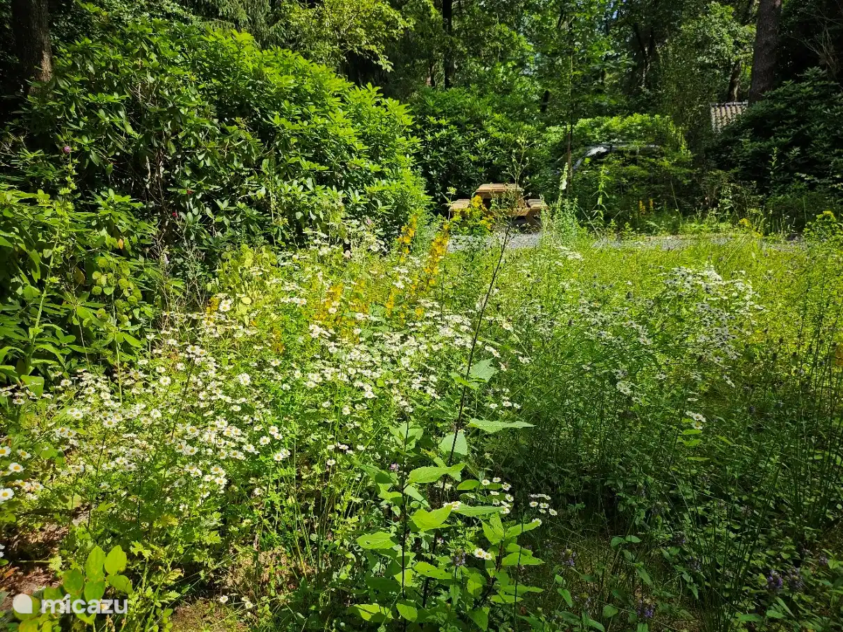 Jahreszeiten: Frühlings- und Sommerwaldgarten