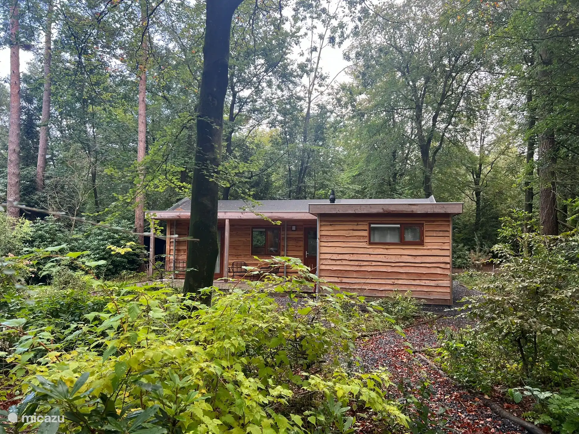 Jahreszeiten: Waldgarten im Herbst