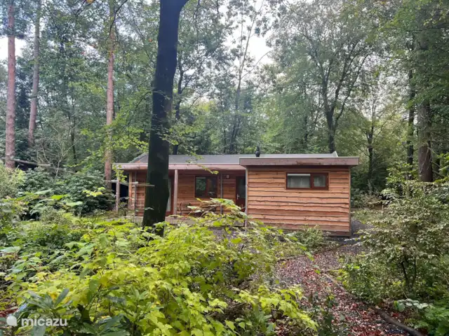 Wandelen, Nederland, Gelderland, Ermelo, chalet Boshuisje Hans & Klaartje Seizoenen: bostuin in de herfst
