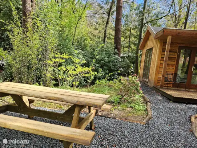 Wandelen, Nederland, Gelderland, Ermelo, chalet Boshuisje Hans & Klaartje Picknicktafel met lentebloei