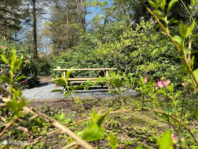 Wandelen, Nederland, Gelderland, Ermelo, chalet Boshuisje Hans & Klaartje Nieuw aangekomen april 2024: picknicktafel in de lentezon
