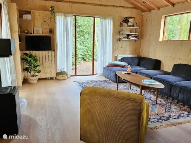 Wandelen, Nederland, Gelderland, Ermelo, chalet Boshuisje Hans & Klaartje Woonkamer met veel natuurlijk licht, een lekkere zithoek en fauteuil