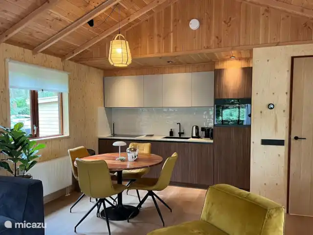Wandelen, Nederland, Gelderland, Ermelo, chalet Boshuisje Hans & Klaartje Moderne keuken met eettafel, inductie kookplaat, koelkast, vriesvakje, magnetron oven