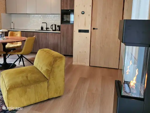 Wandelen, Nederland, Gelderland, Ermelo, chalet Boshuisje Hans & Klaartje Warme en veilige (automatische) bio-ethanol kachel met afstandsbediening