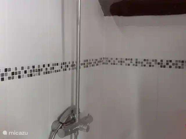 Retraite française - Chant Oiseau | France, Dordogne, Nontron - maison de vacances Douche