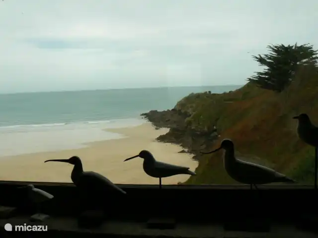 Location de Vacances France, Côtes-d'Armor, Saint-Cast-Le-Guildo, appartement - Villa Ultramarine 1 à Saint Cast vue sur la Pointe de la Garde depuis le séjour