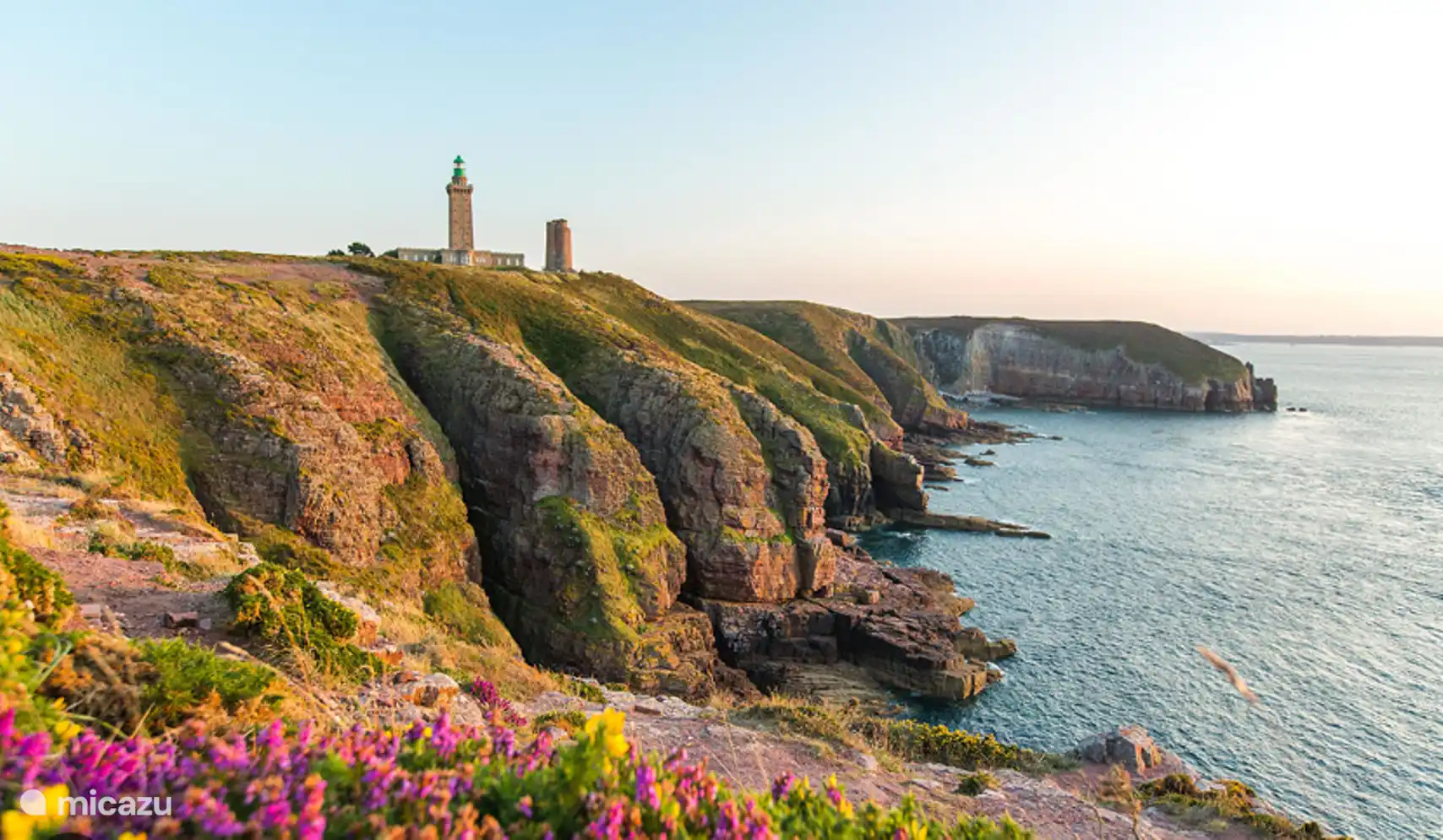 Cap Fréhel, durchquert vom GR34. Es bietet wunderbare Spaziergänge in einem wilden und blumigen Moor