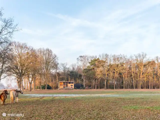 Cabane nature | Pays-Bas, Overijssel, Lettele - maison de vacances La maison est complètement isolée avec sa propre allée.