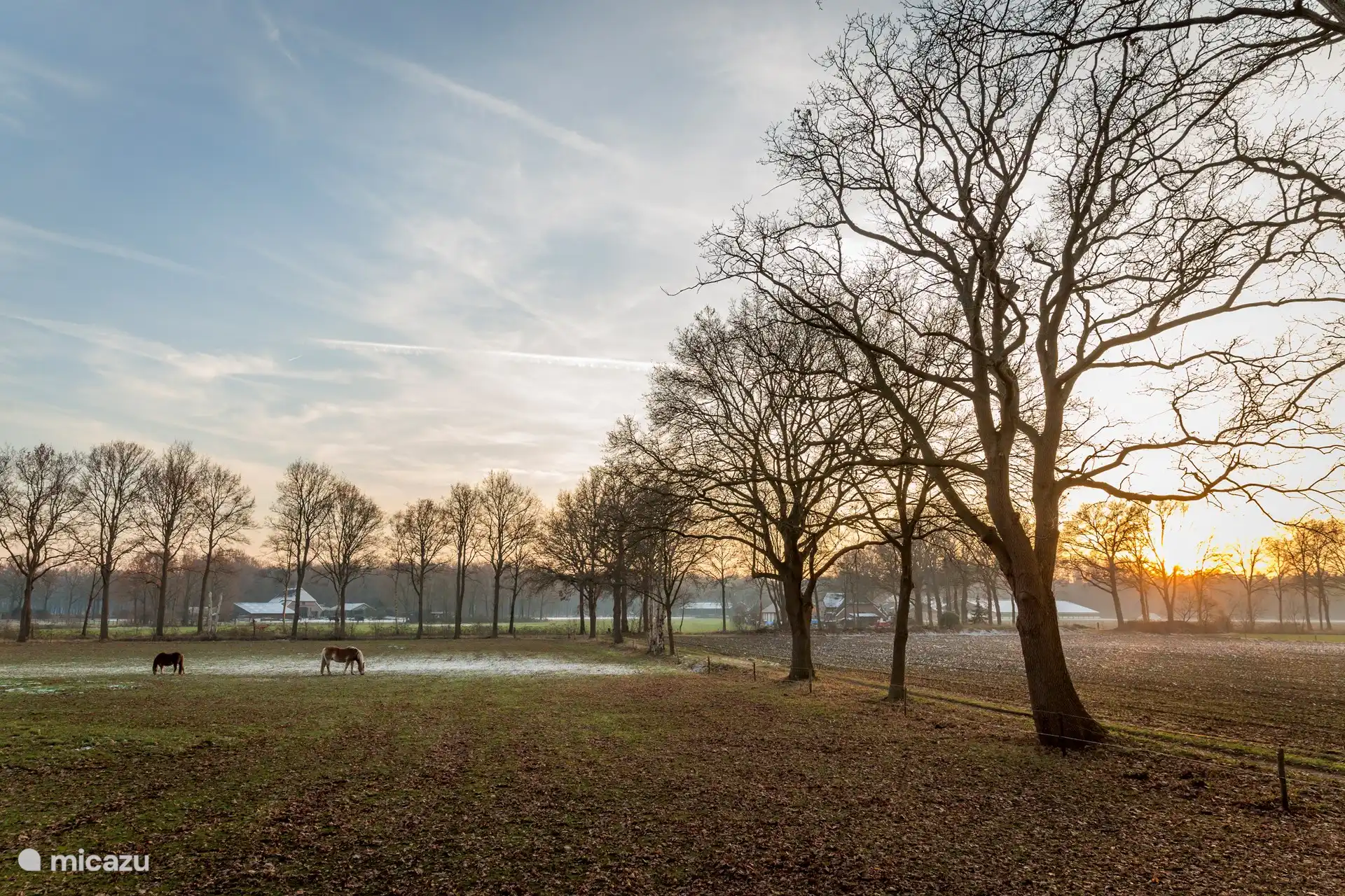 vue dégagée depuis la cabine.