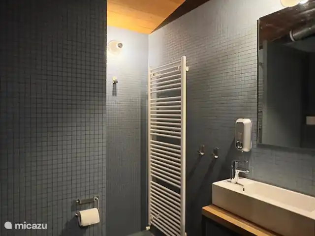 Cabane nature | Pays-Bas, Overijssel, Lettele - maison de vacances Salle de Bains