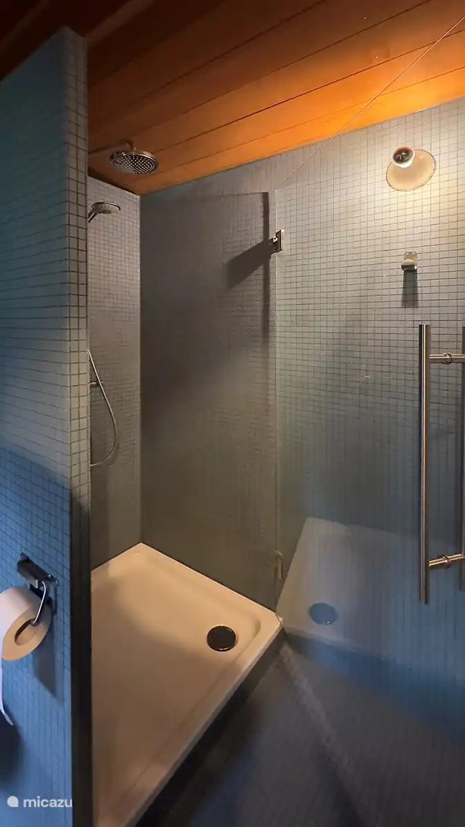 Salle de bain avec douche à effet pluie