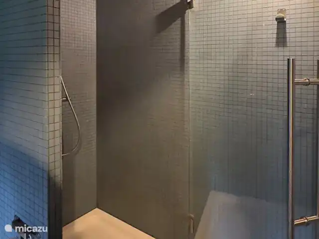 Cabane nature | Pays-Bas, Overijssel, Lettele - maison de vacances Salle de bain avec douche à effet pluie