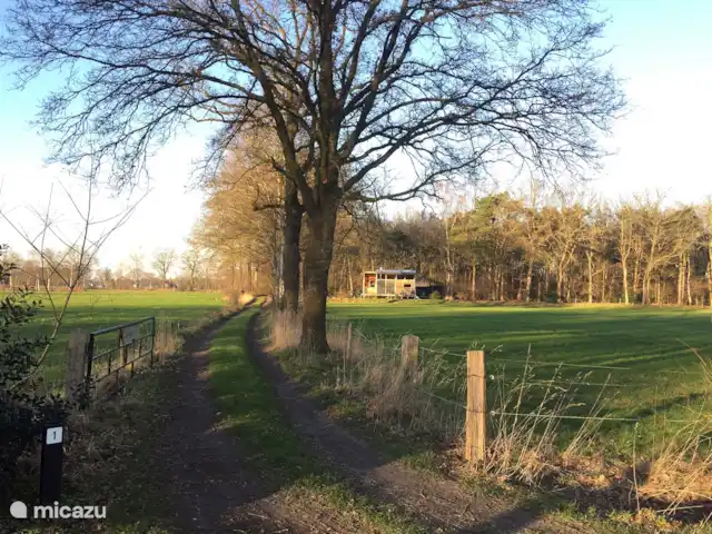 Cabane nature | Pays-Bas, Overijssel, Lettele - maison de vacances Propre allée.