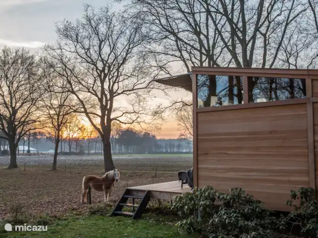 Cabane nature | Pays-Bas, Overijssel, Lettele - maison de vacances